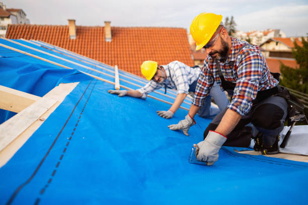 Best Slate Roofing Contractor  in Three Lakes, FL